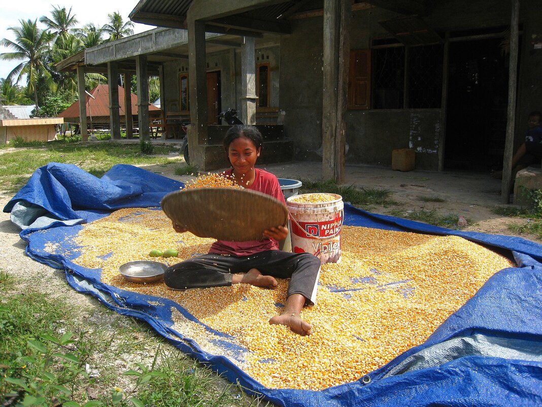 Девушка с кукурузой (2 часть). - unix (Илья Утропов)