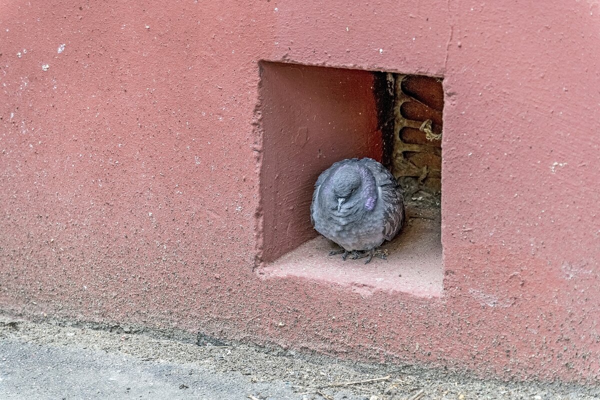 Взгрустнулось - Валерий Иванович Взгрустнулось - Валерий Иванович