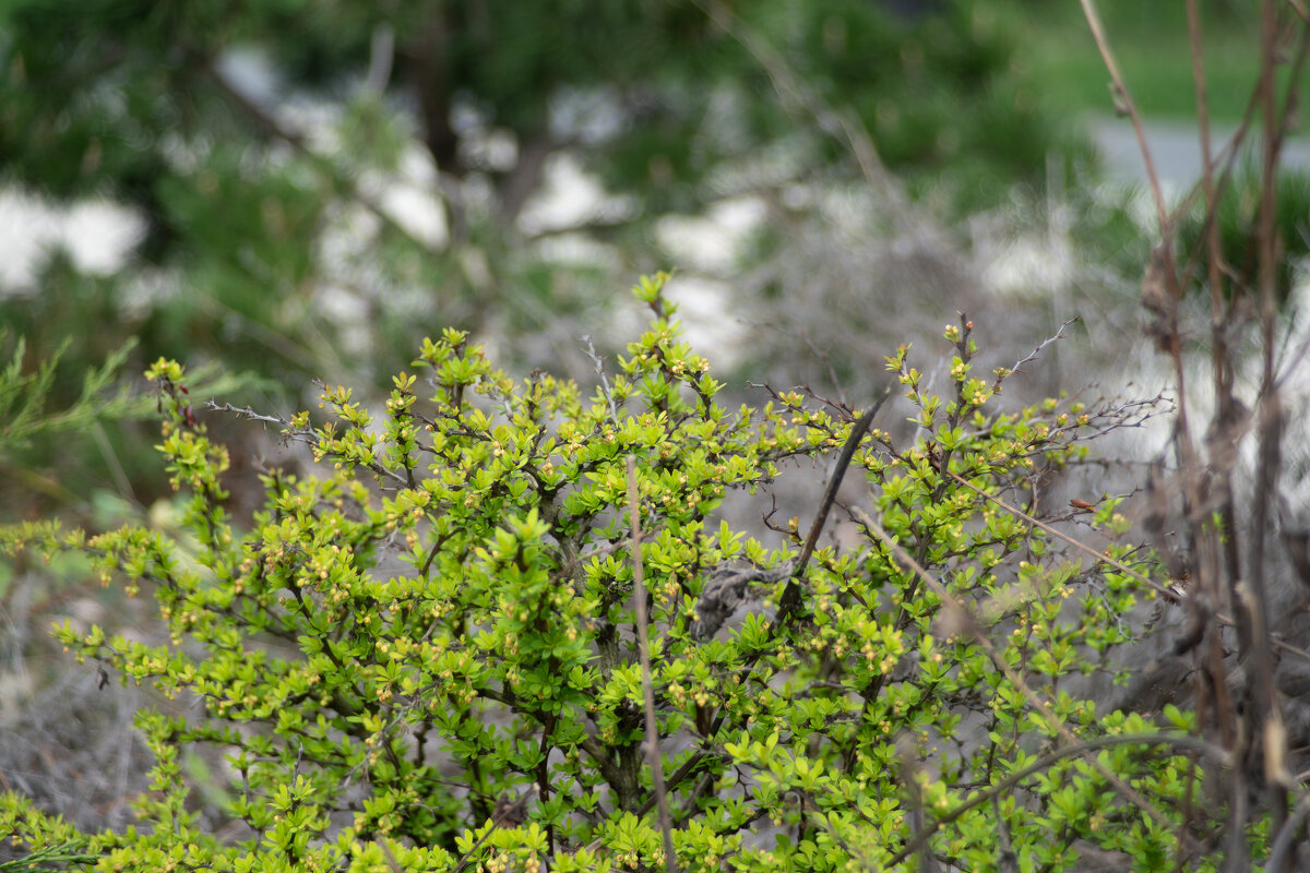 этюд в городе - Роман Шаров этюд в городе - Роман Шаров