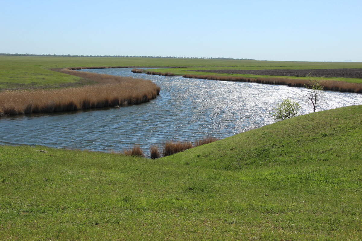 Местная река. - Виктор 