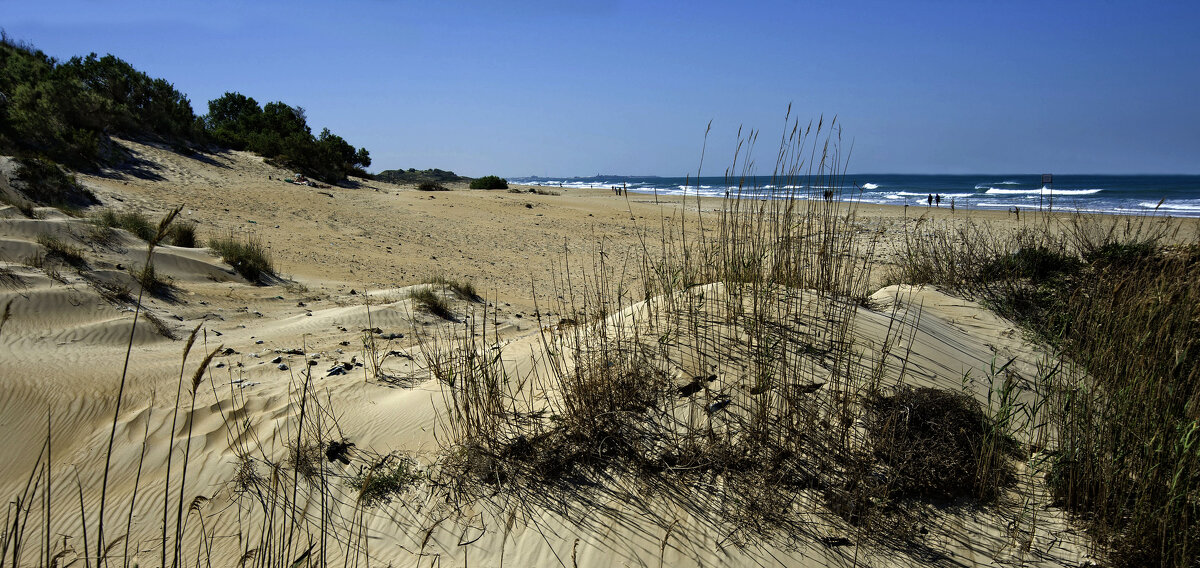 Дикий пляж - Эмиль Дикий пляж - Эмиль