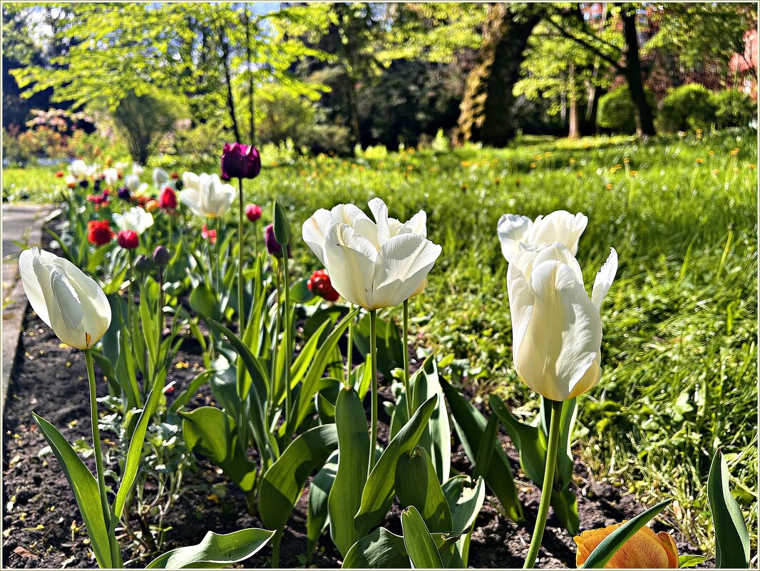 ******* - Валерия Комова ******* - Валерия Комова