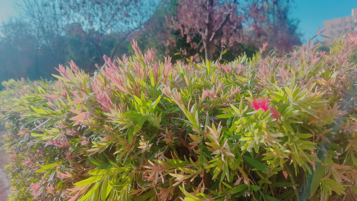 13  ОПЕН (20) - OPEN WAYS ALL