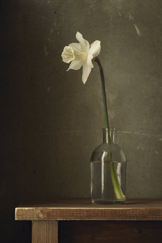 Нарцисс - Максим Вышарь