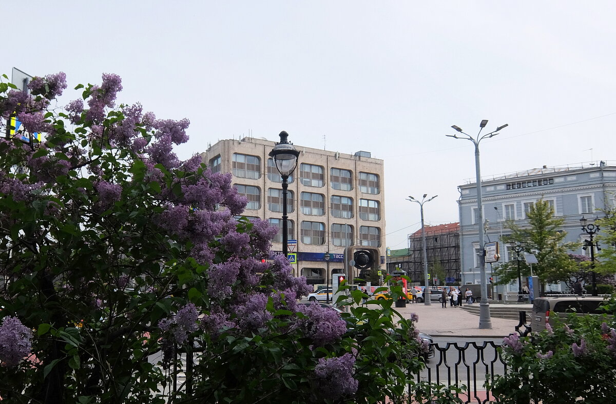 Здание ТАСС на Большой Никитской. - Люба Здание ТАСС на Большой Никитской. - Люба