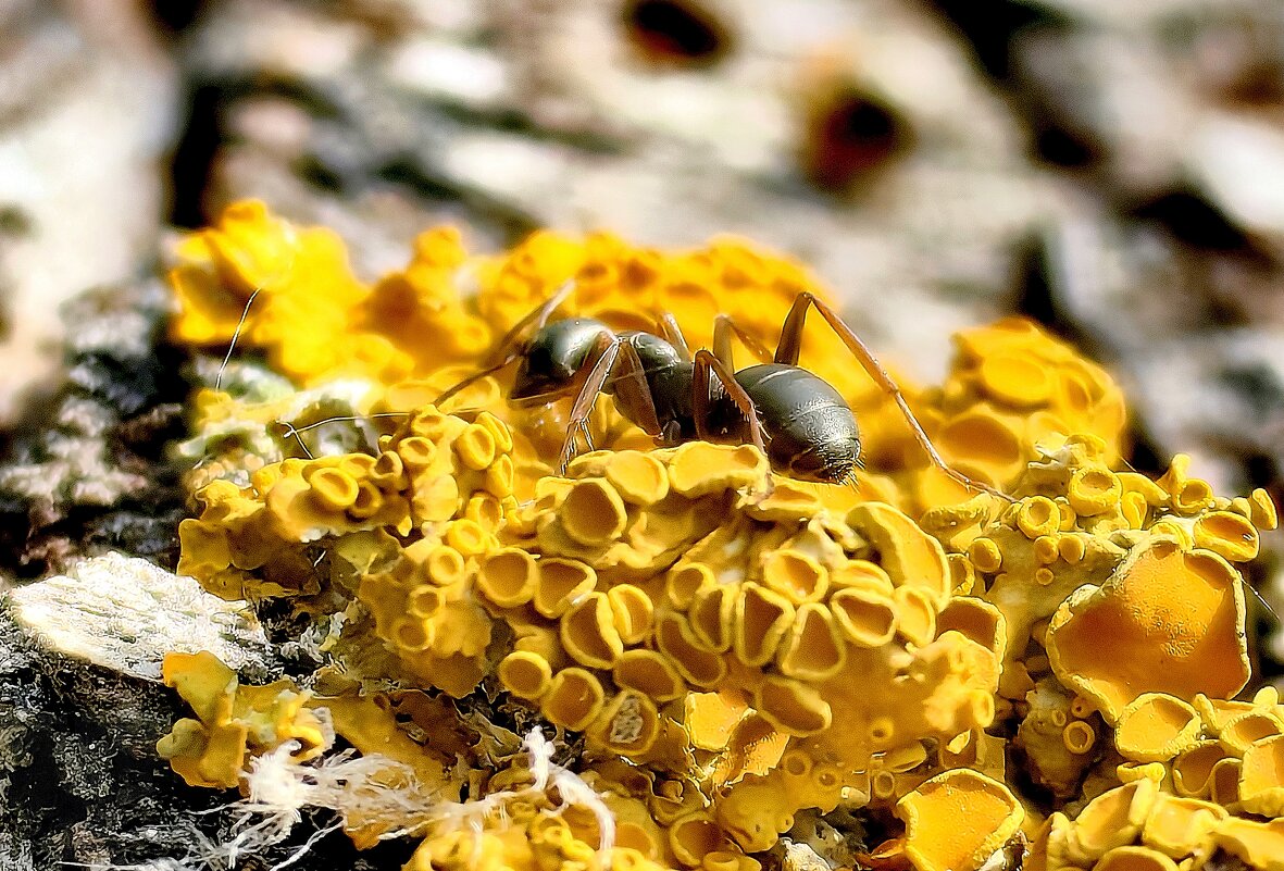 — - Светлана 13.06. — - Светлана 13.06.