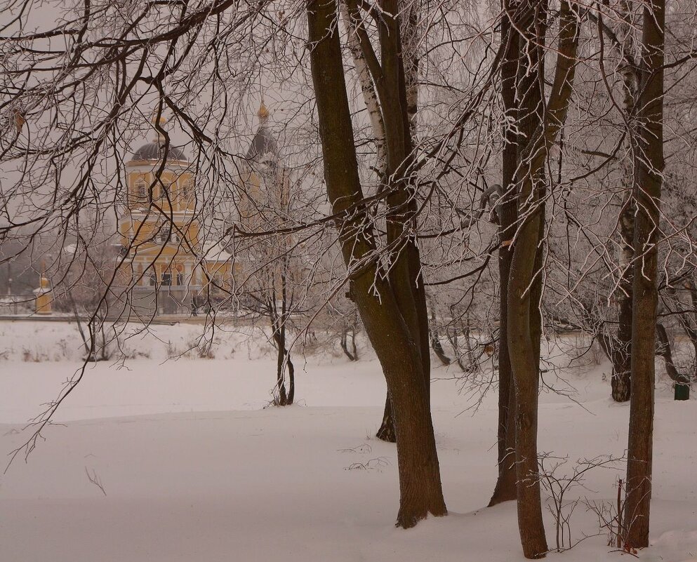 Зима - ZNatasha -