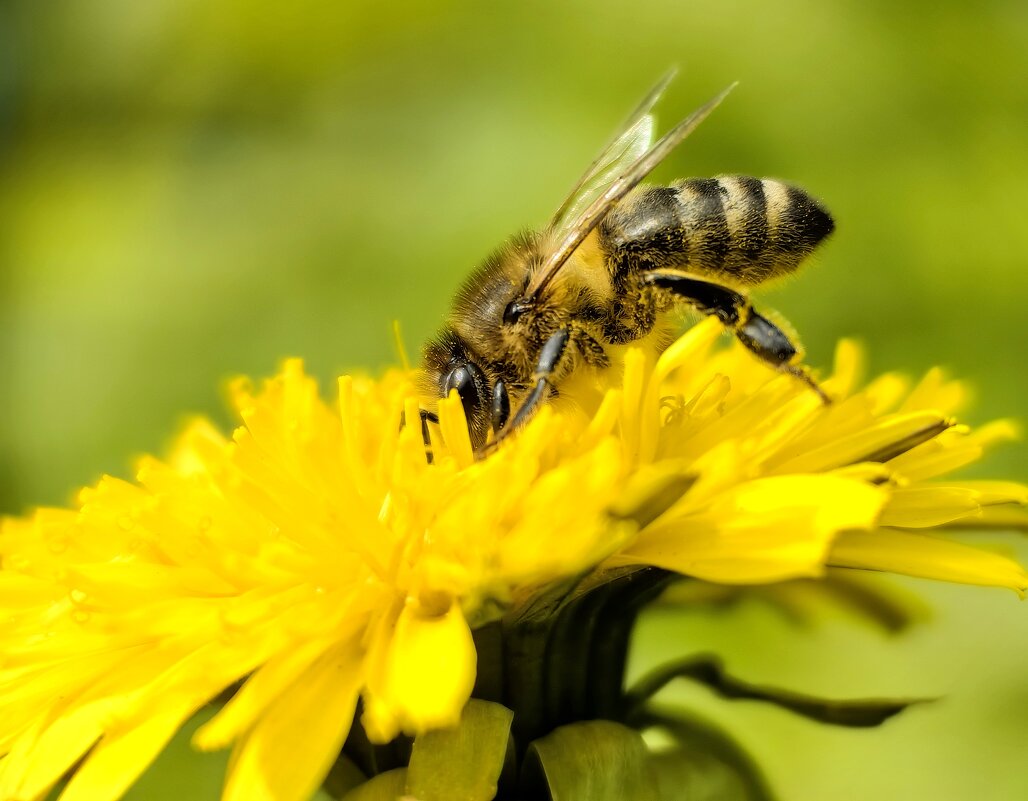Трудяга - Светлана 13.06. Трудяга - Светлана 13.06.
