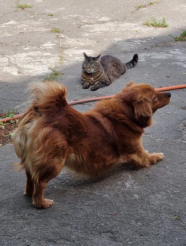 Дружелюбие :) - Наталья 