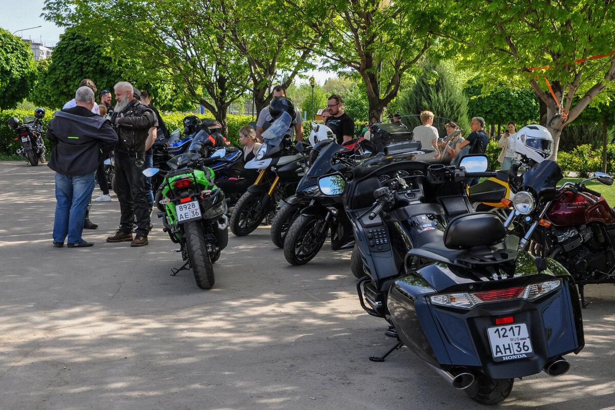 Грачи прилетели - Мотофестиваль - Татьяна Машошина Грачи прилетели - Мотофестиваль - Татьяна Машошина