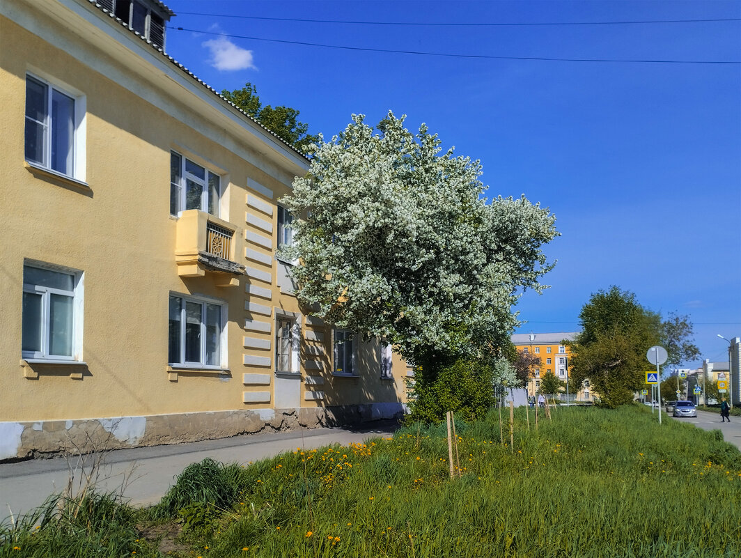 Уже рукой подать до лета - Дмитрий Костоусов Уже рукой подать до лета - Дмитрий Костоусов