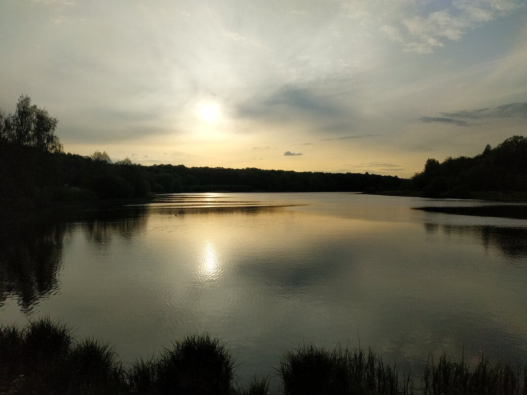 * * * - Андрей Лукьянов * * * - Андрей Лукьянов