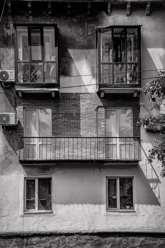 Non-vexillum - Андрей Жданов Non-vexillum - Андрей Жданов