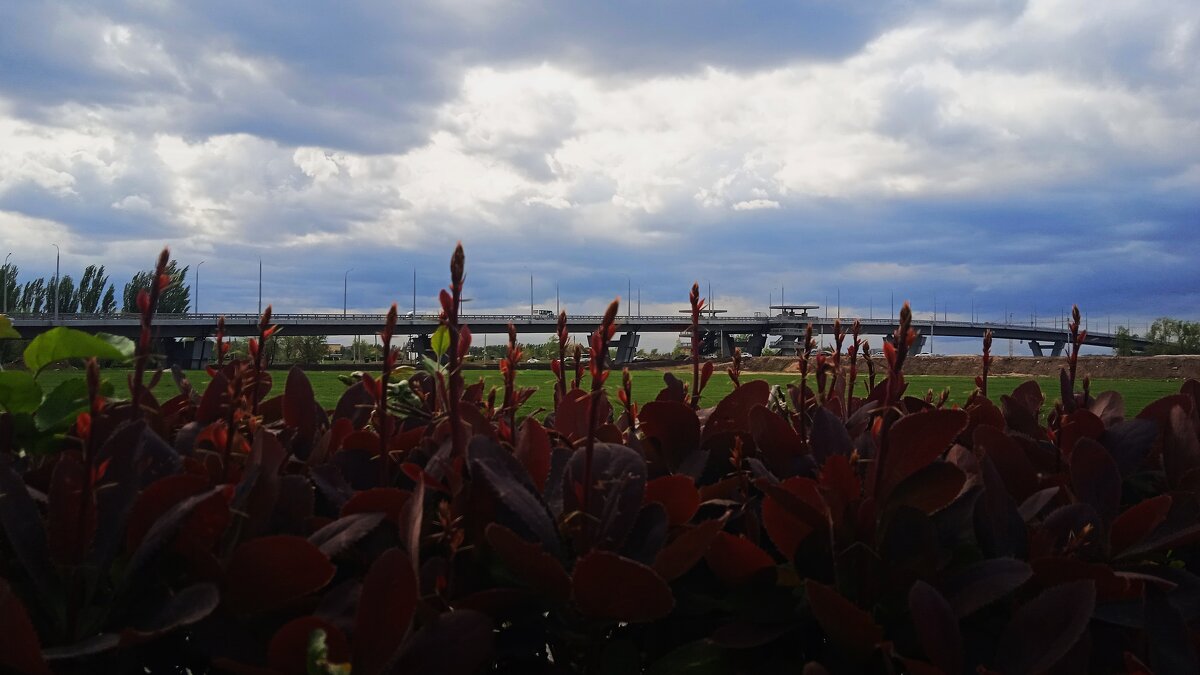 Зарисовка - Елена Шаламова