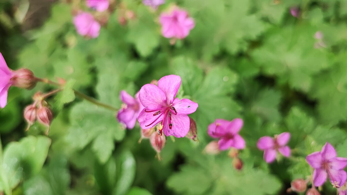 ,,, - Сергей Тимоновский