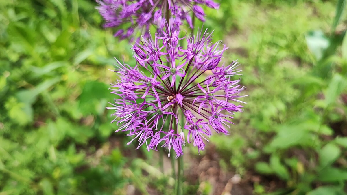 ,,, - Сергей Тимоновский