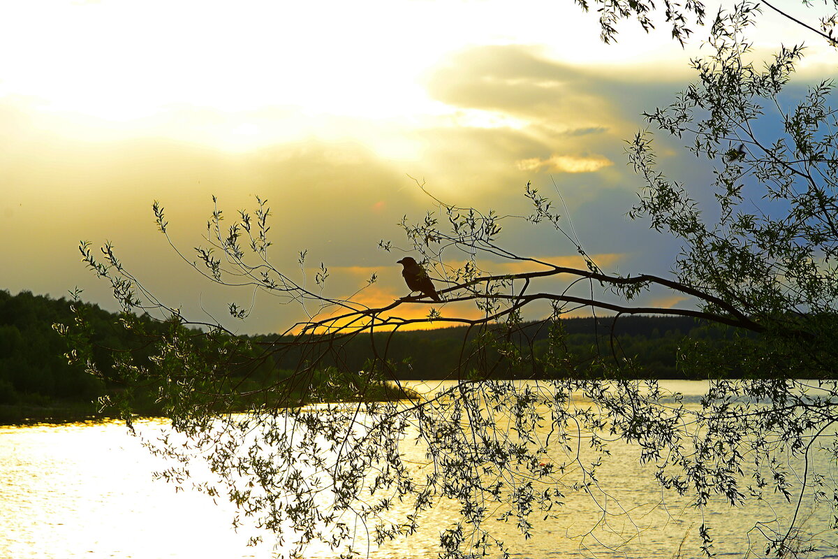 На закате дня. - Михаил Колосов На закате дня. - Михаил Колосов