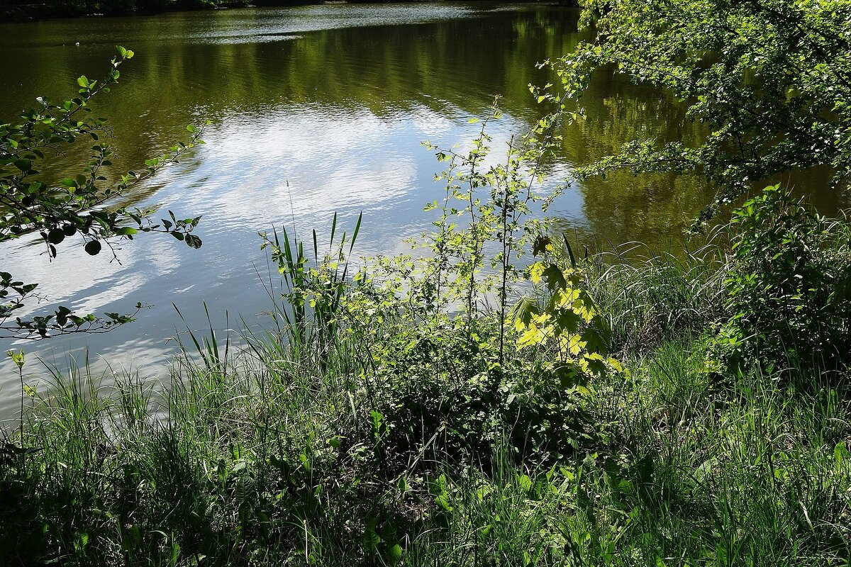 Май - Рита Симонова