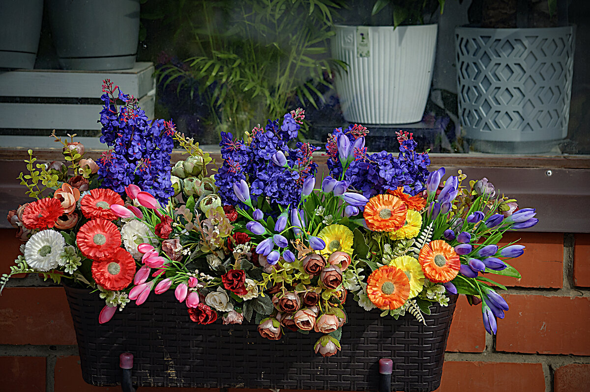 Фотозарисовка - Владимир Кроливец