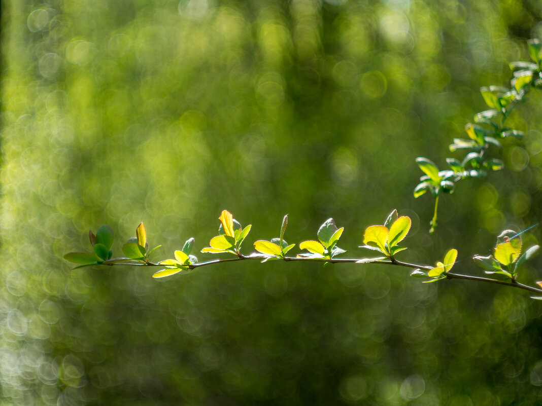 ___ - Yuriy V ___ - Yuriy V