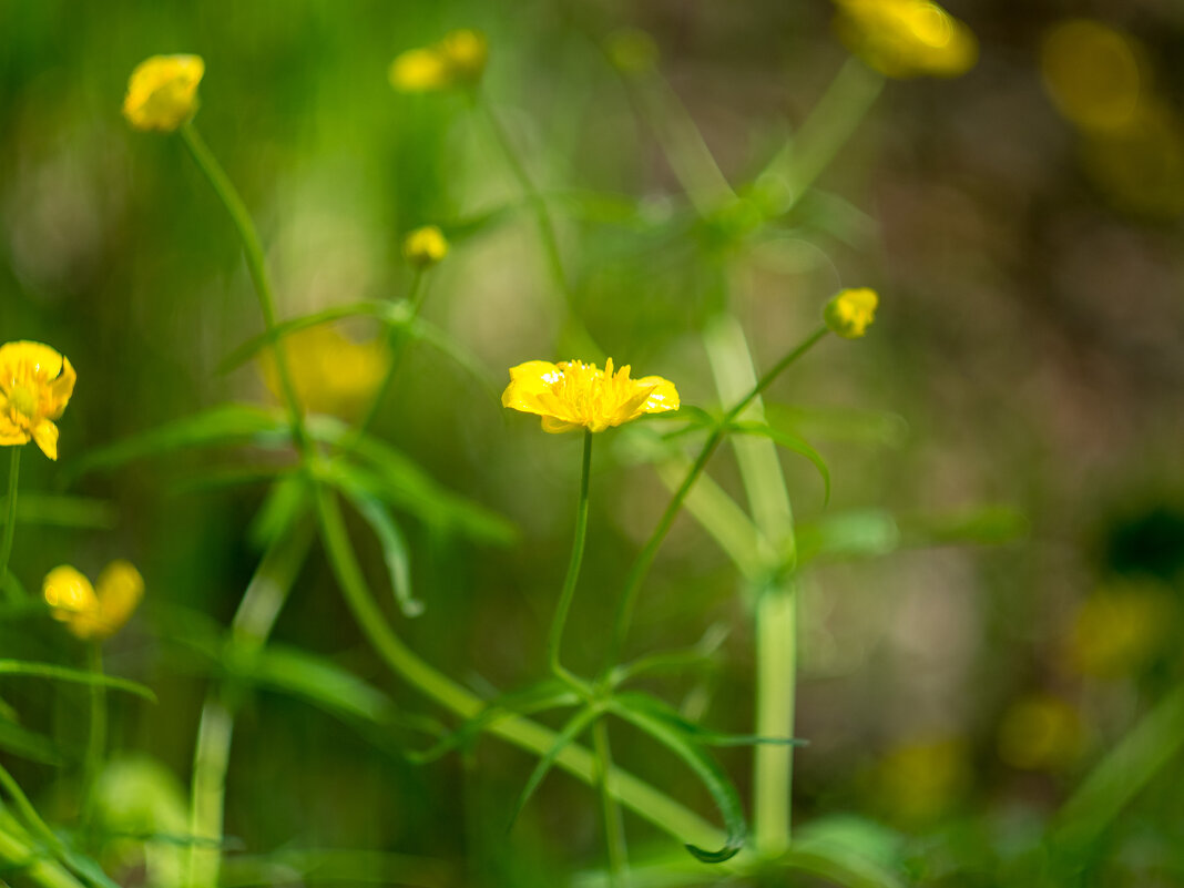 ___ - Yuriy V ___ - Yuriy V