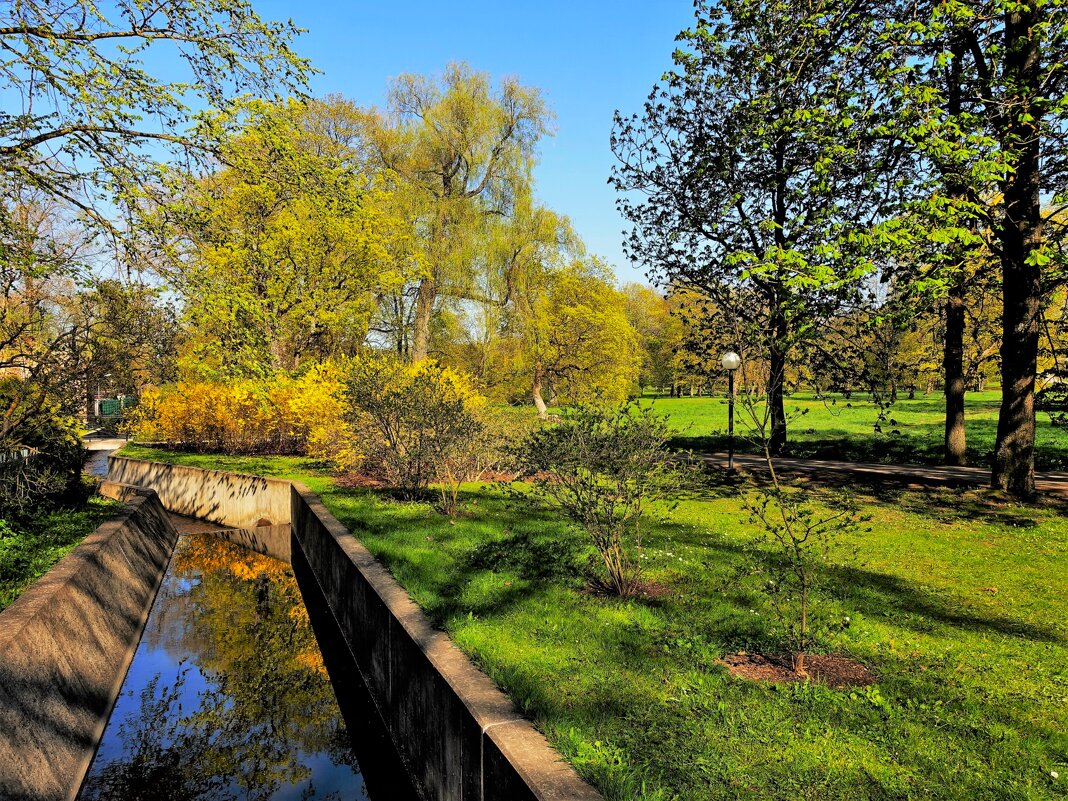 Цветущий май в парке - Aida10 Цветущий май в парке - Aida10