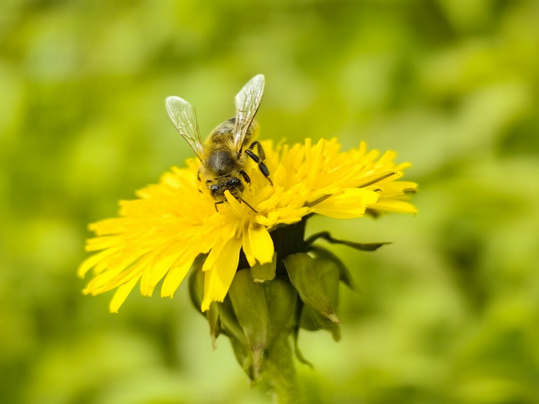 Замечательный дуэт) - Светлана 13.06.