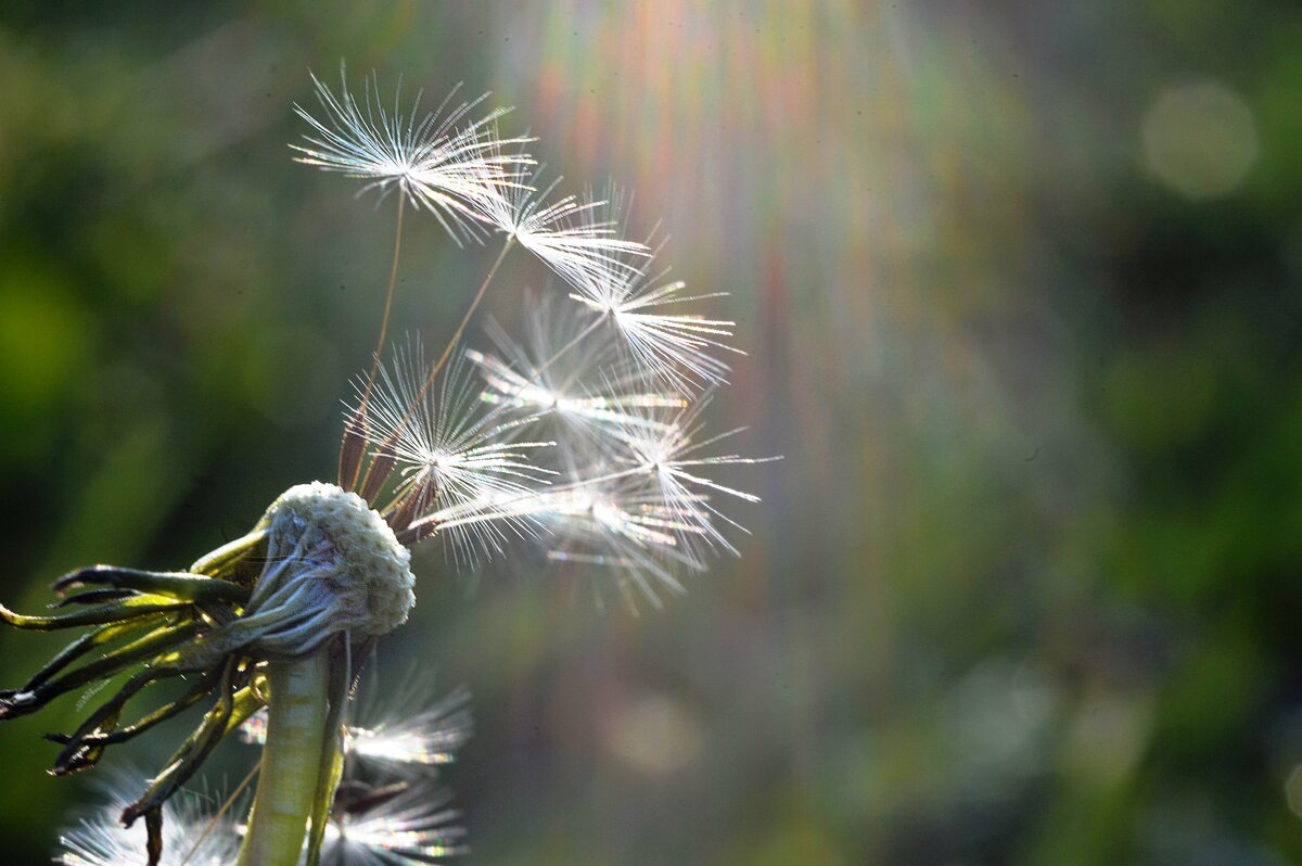 К свету... - Надежда Куркина 