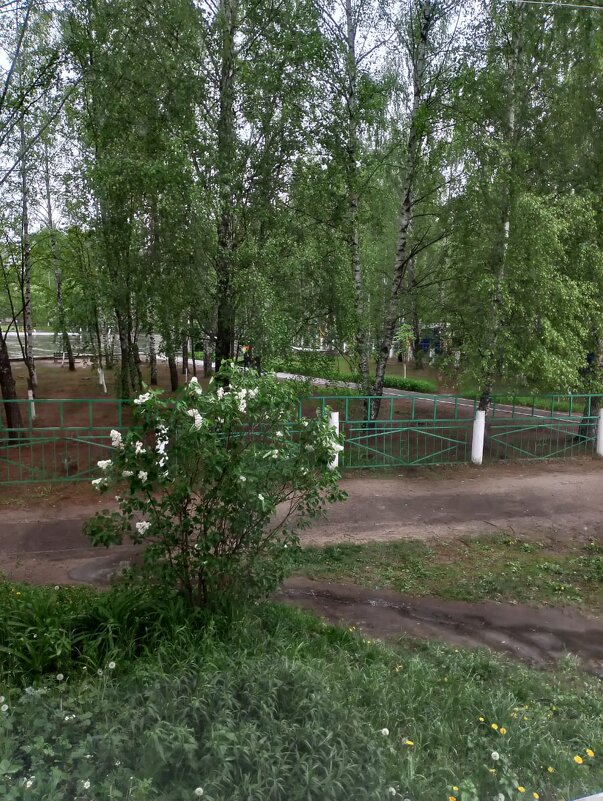 "День удивительно хорош! И понимать перестаёшь, что за окном лишь май – не лето!" - Ирэн 