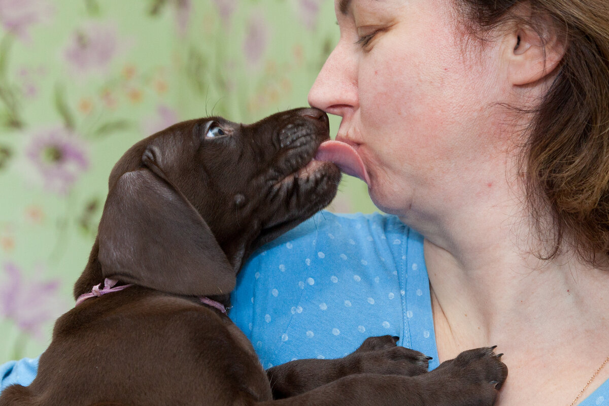 собачий детский сад - Павел Кошалеф
