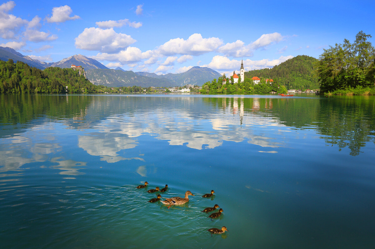 Озеро Блед - Сергей Титов