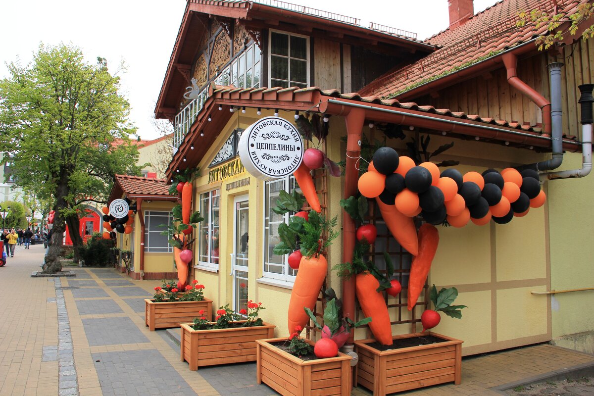 Курортный проспект - Ольга Курортный проспект - Ольга