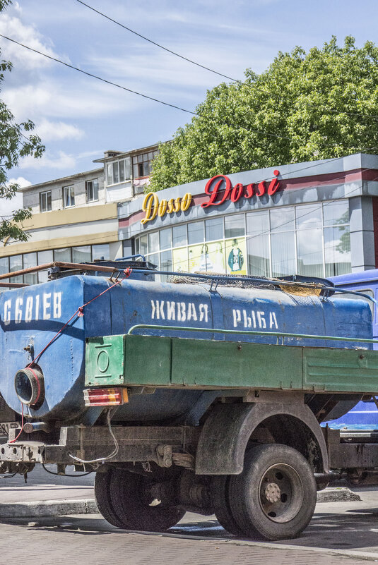 Живая рыба - Коля Лукашов