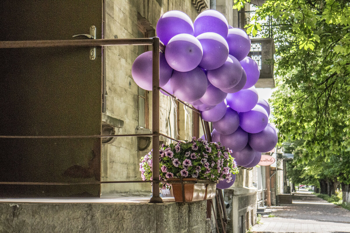 Гроздь синтетического винограда опутавшая перила & наступающее лето - Коля Лукашов