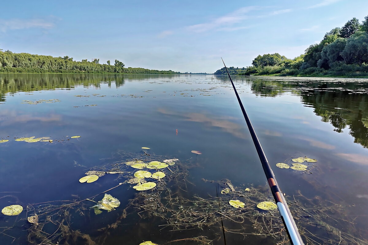 Обязательно клюнет! - Валерий Судачок