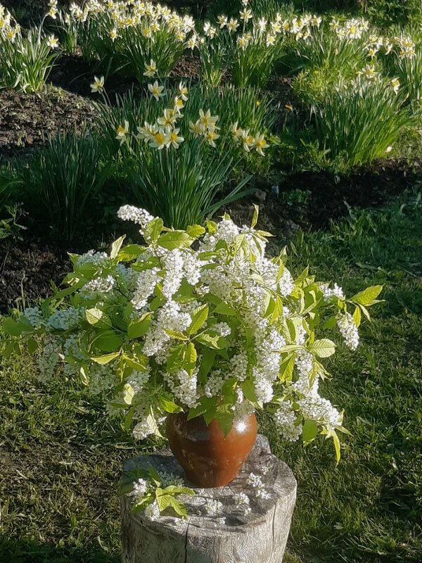 Весна! - Нина Андронова