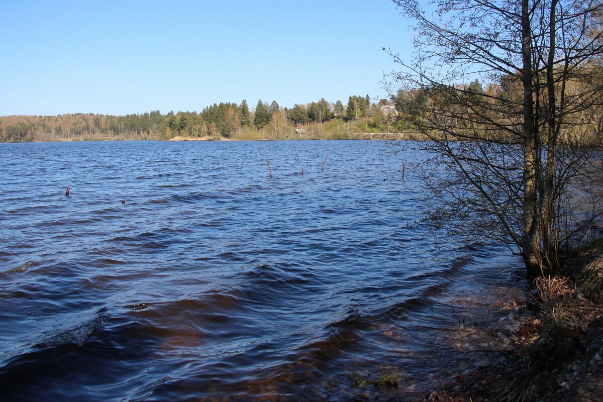 Токсово - Наталья Герасимова Токсово - Наталья Герасимова