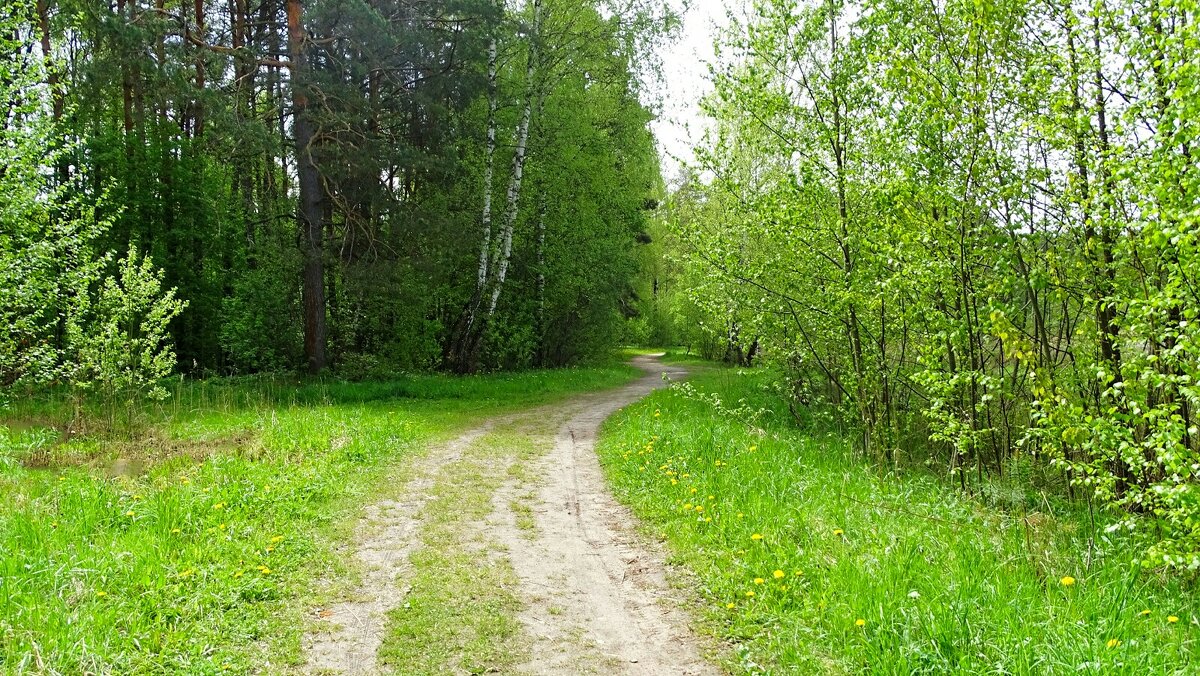 Дорога рыбаков (репортаж из поездок по области). - Милешкин Владимир Алексеевич Дорога рыбаков (репортаж из поездок по области). - Милешкин Владимир Алексеевич