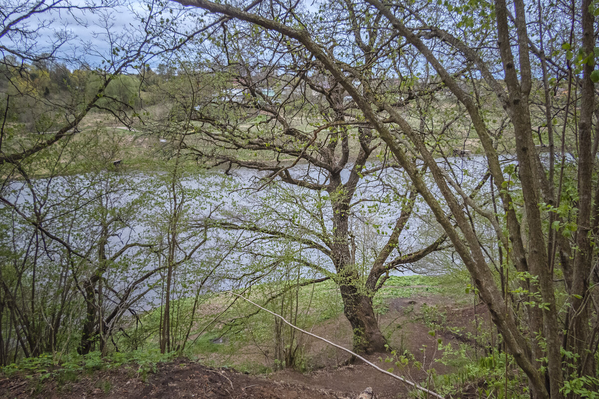 Утро на берегу реки - Сергей Цветков Утро на берегу реки - Сергей Цветков