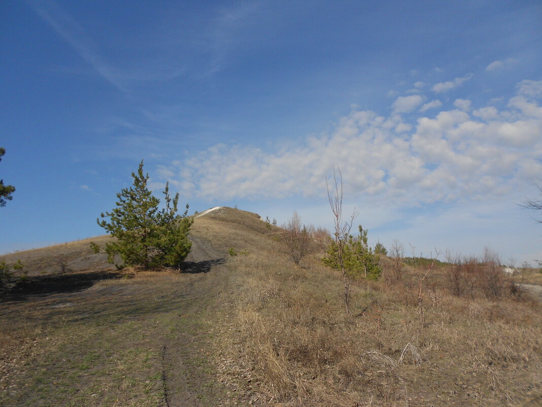 Хвалынские просторы - Елена Шаламова Хвалынские просторы - Елена Шаламова