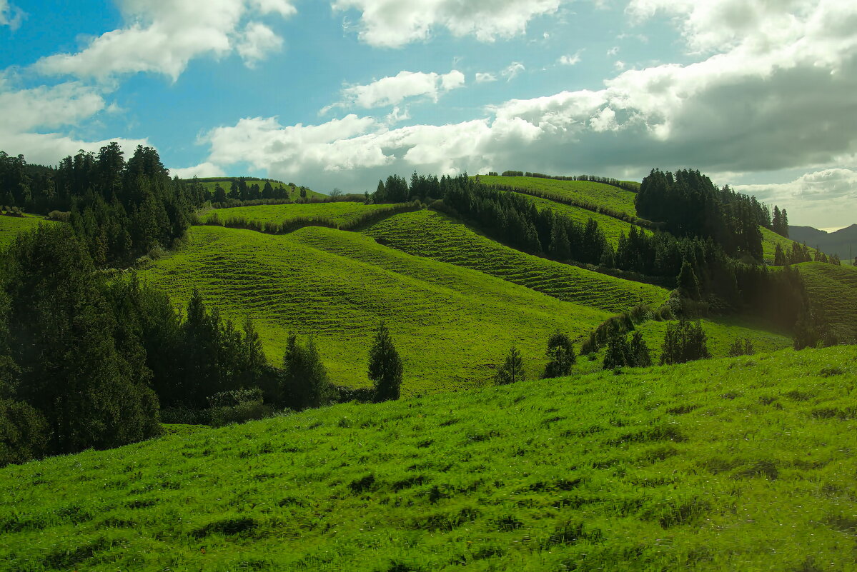 Magic Azores 58 - Arturs Ancans