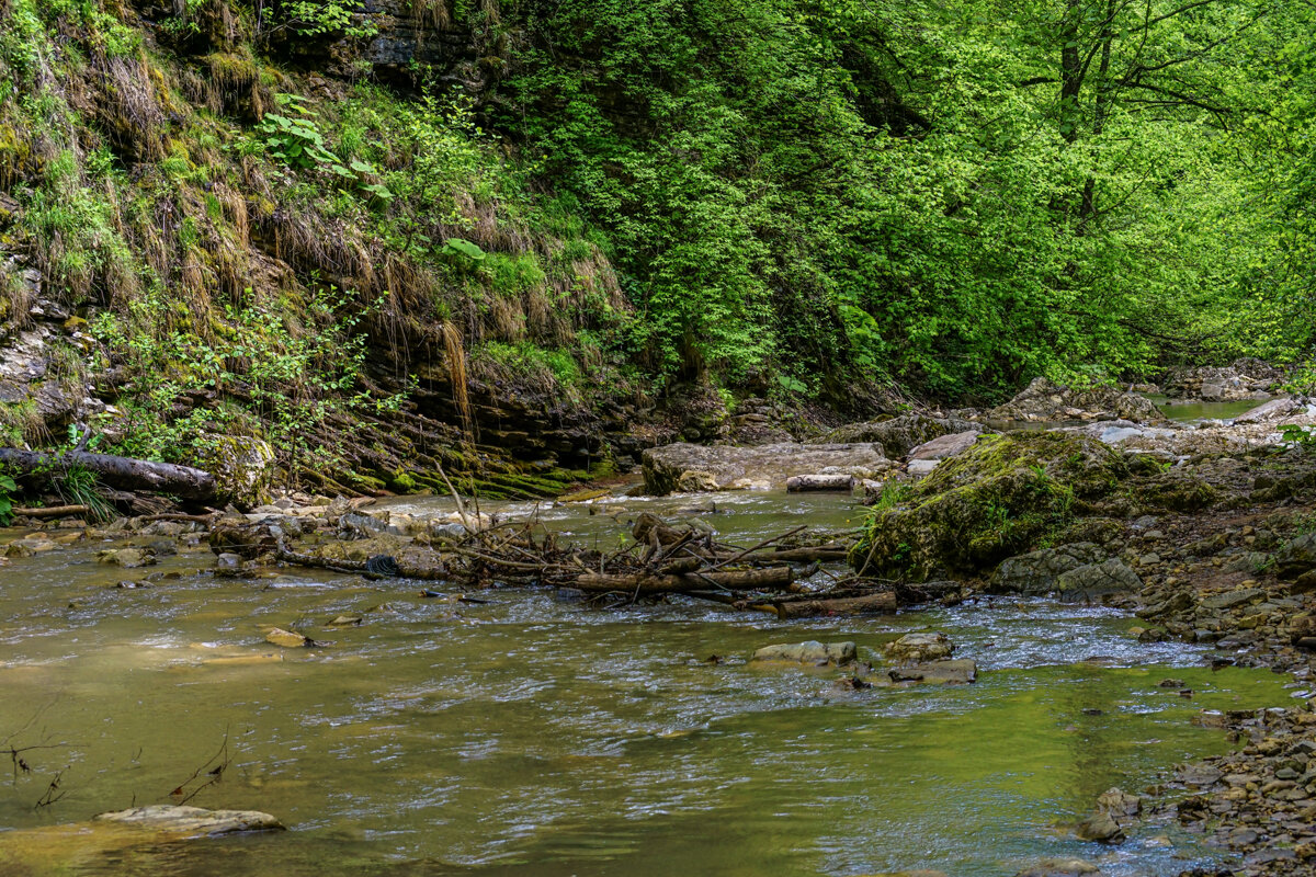 Ручей Руфабго в горах - Игорь Сикорский Ручей Руфабго в горах - Игорь Сикорский