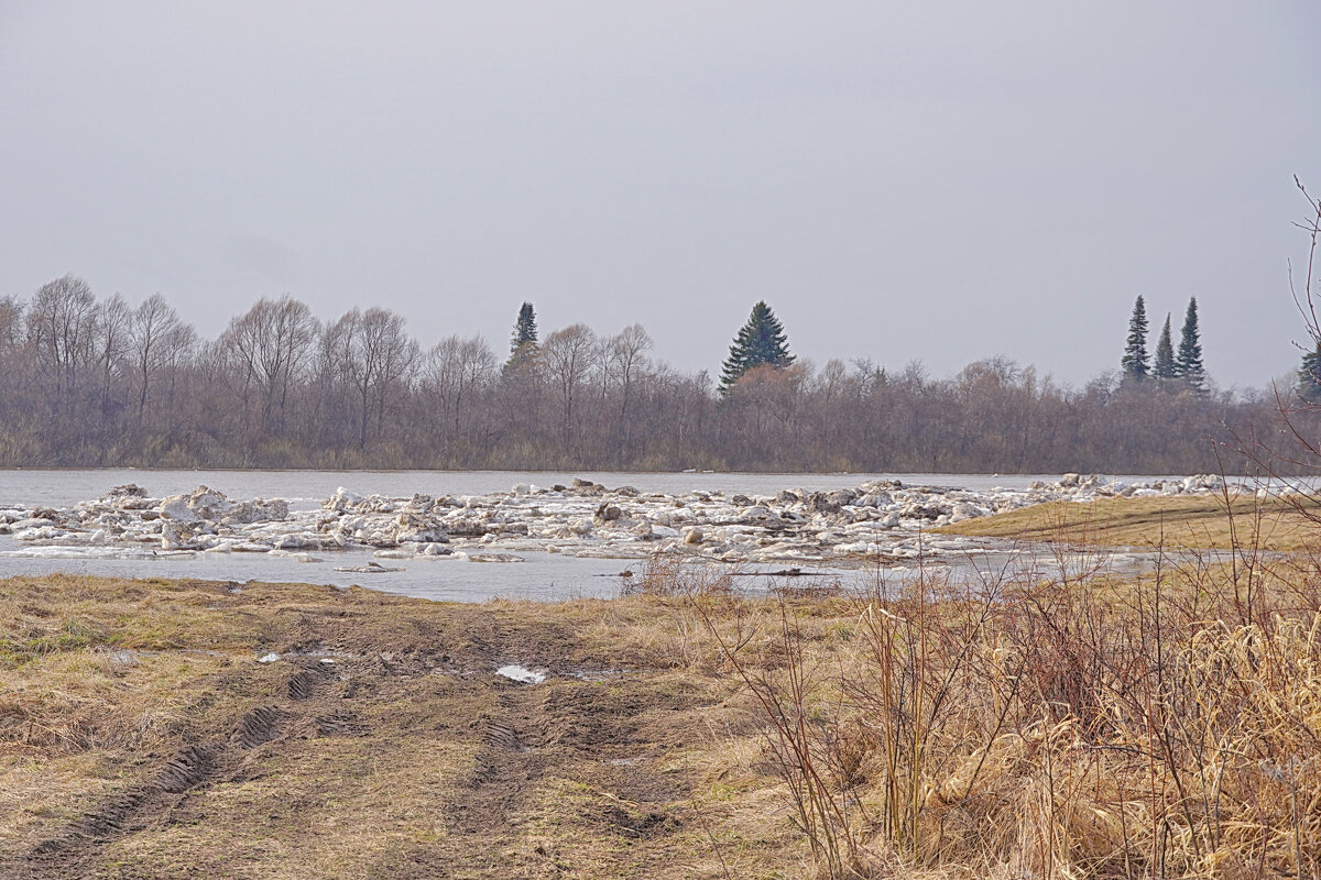 По осколкам ледохода - Галина Кан