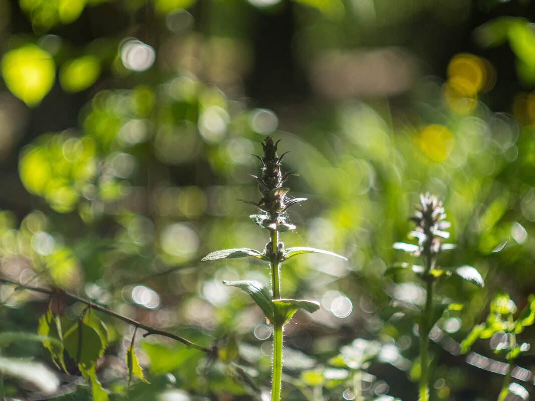 ___ - Yuriy V ___ - Yuriy V