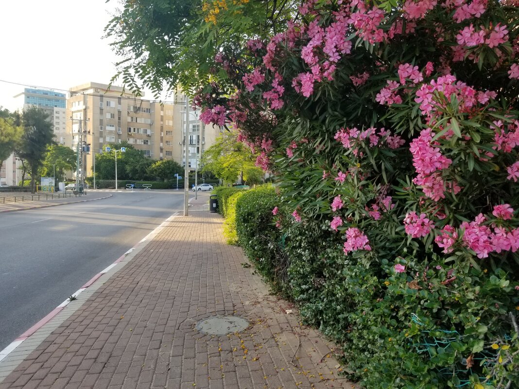 " - Светлана Хращевская