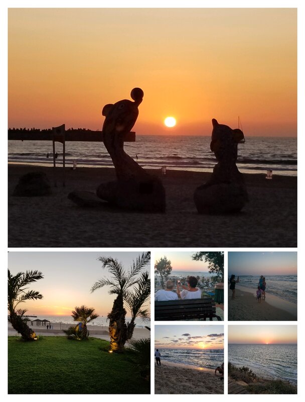 Коллаж по моим фотографиям - Светлана Хращевская Коллаж по моим фотографиям - Светлана Хращевская