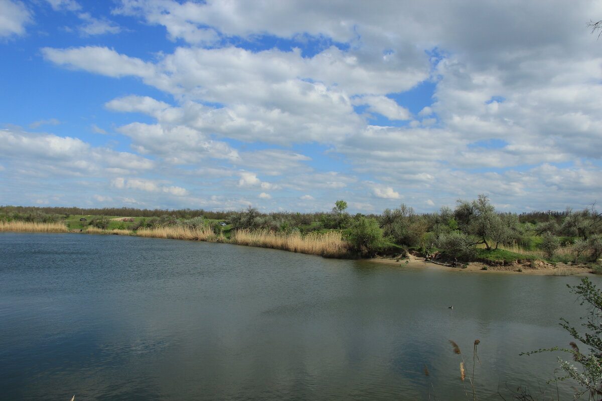 Местные виды. - Виктор 