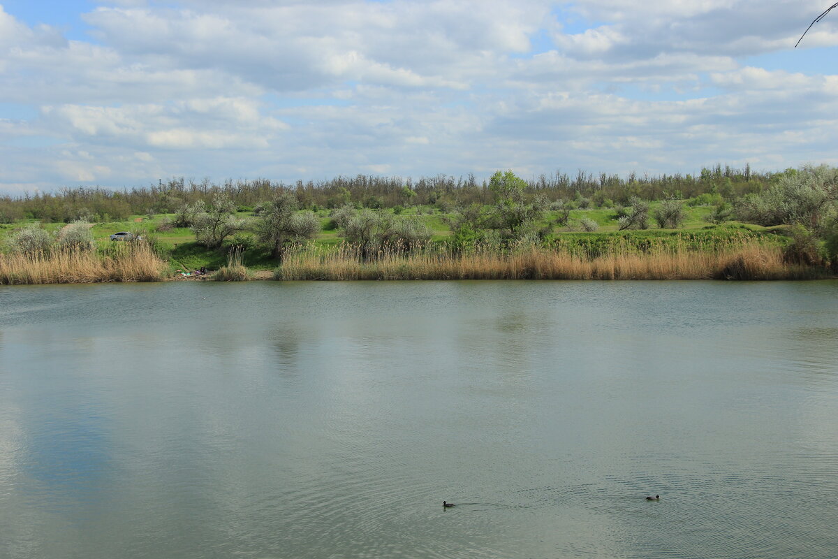 Весна на Дону. - Виктор Весна на Дону. - Виктор