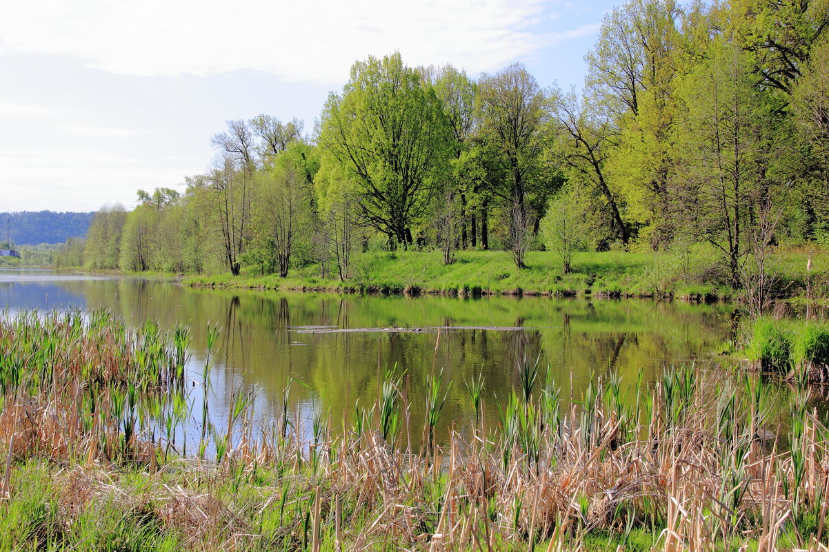 Озеро - Евгений Корьевщиков Озеро - Евгений Корьевщиков