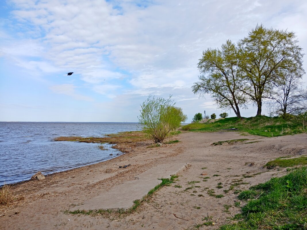 Пешком по Кронштадту. - Лия ☼